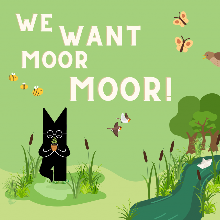 We want moor Moor!