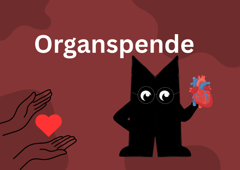 Ein kleines Geben, das Leben verändert- wenn Helfen Hoffnung schenkt – Teil 2